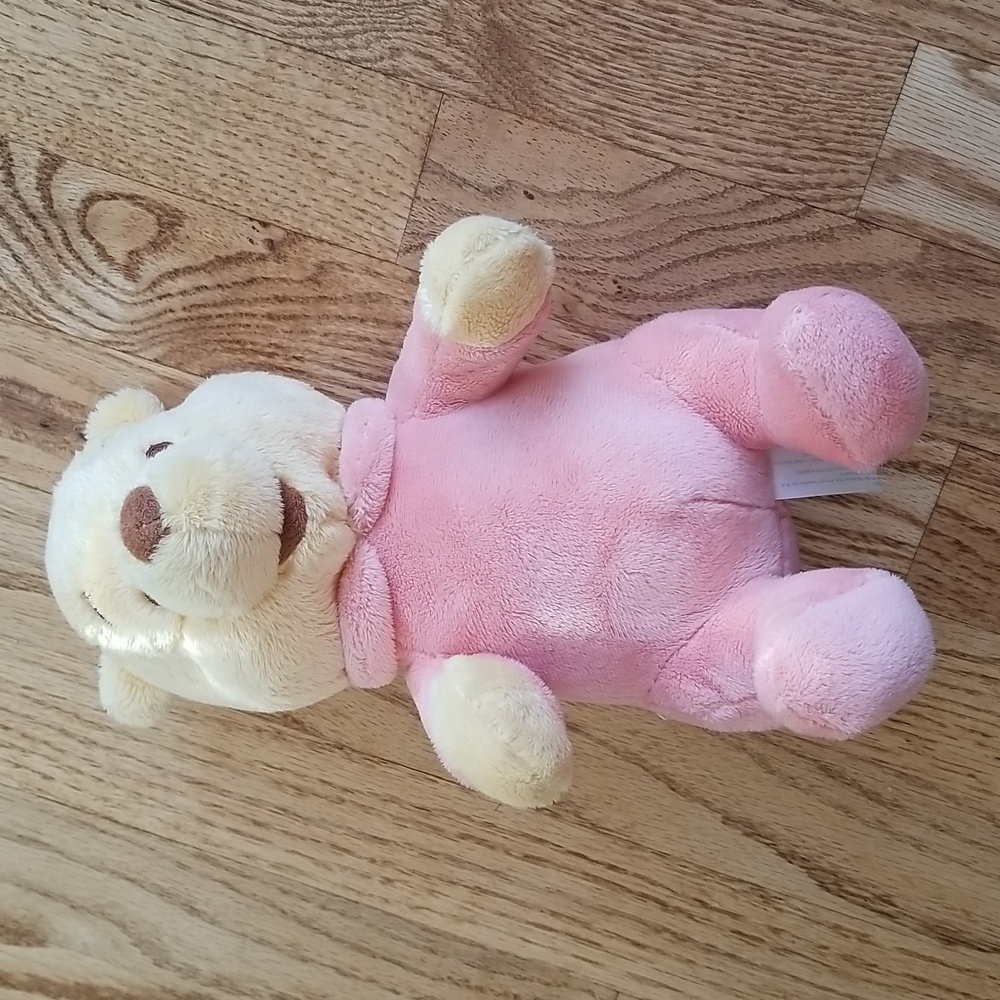 Disney Babies Winnie the Pooh Plush Toy Disneyland Disney World Collectible